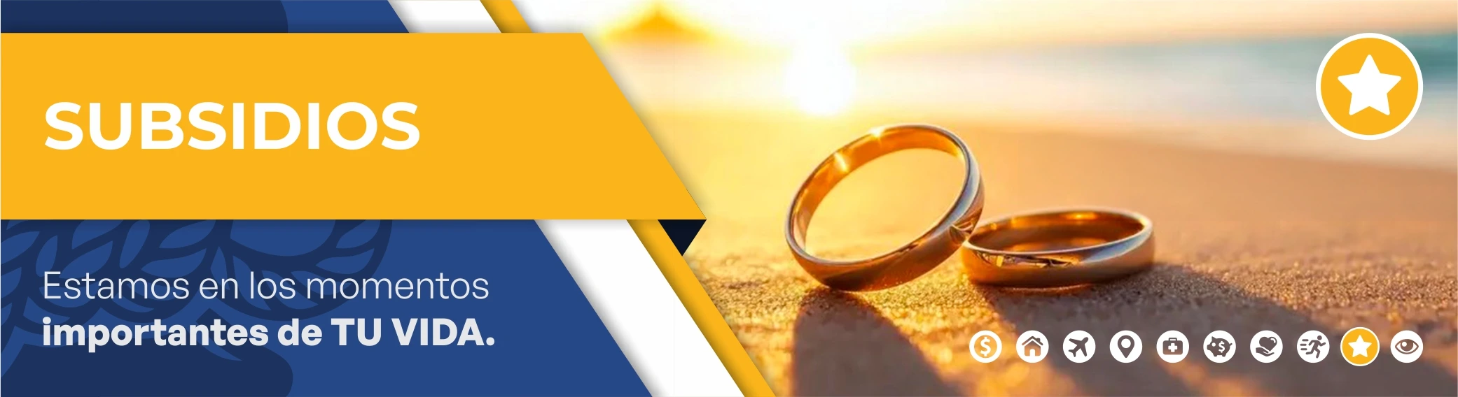 Banner institucional de Ameport